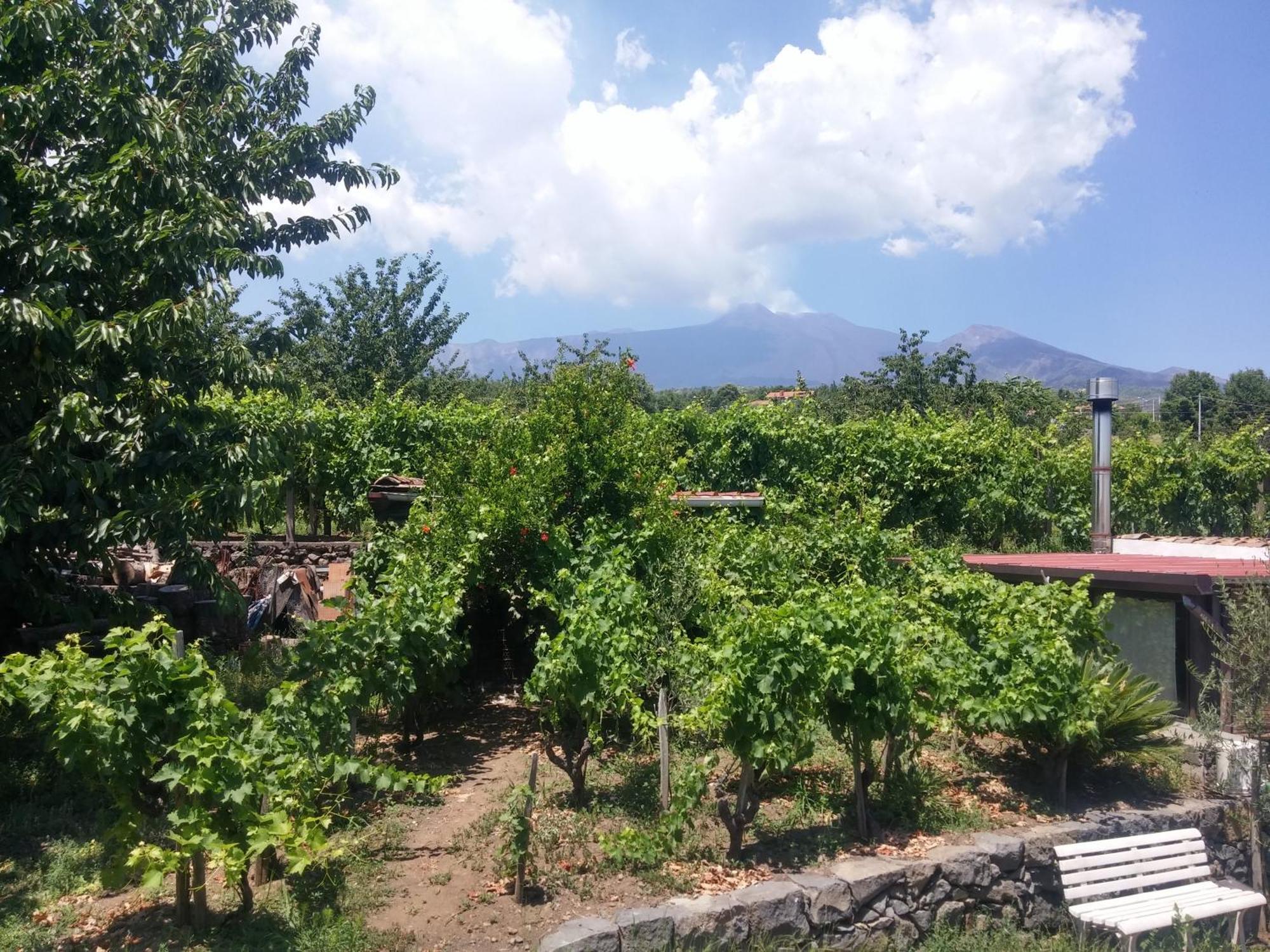 Sorbello Dell'Etna Villa Milo Exterior photo